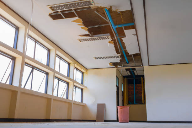 Best Sewage cleanup and water damage restoration  in Floris, VA