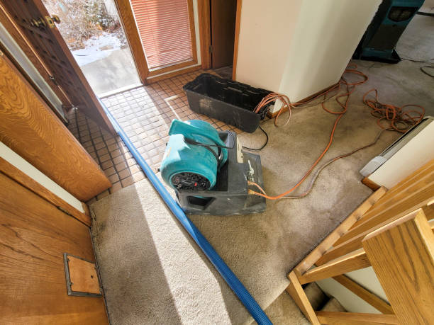 Best Water damage restoration services  in Floris, VA