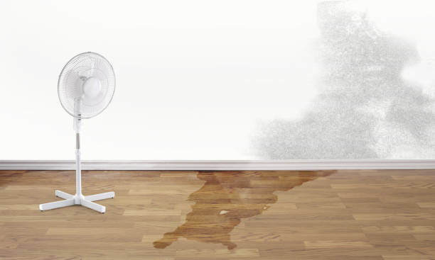  Floris, VA Water damage restoration Pros