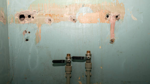 Best Water damage restoration insurance claims  in Floris, VA