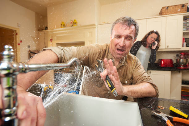 Best Flood damage cleanup  in Floris, VA